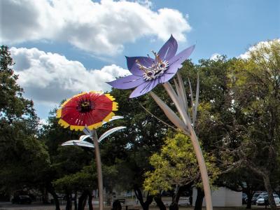 Three metal sculptures that resemble native wildflowers. 1. Firewheel 2. Prairie Celestial 3. Texas Thistle